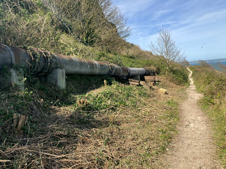 The sewer lining in Portland